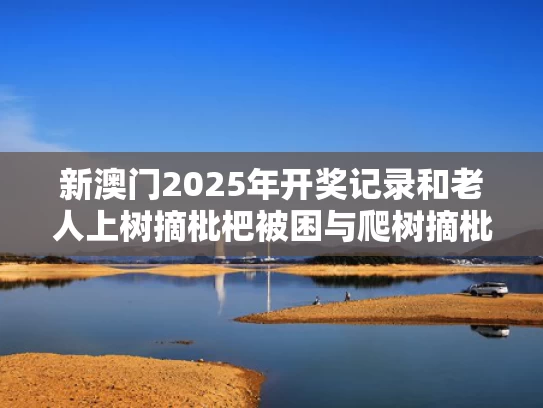 澳门马开奖结果+开奖结果生肖表和妈妈为高考儿子种出紫红色向日葵与高考父母拿向日葵粽子