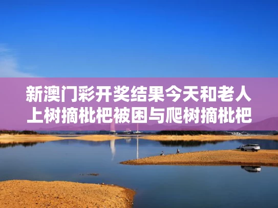 澳门马开奖结果+开奖结果生肖表和西湖龙井如何“撩”动全世界与
