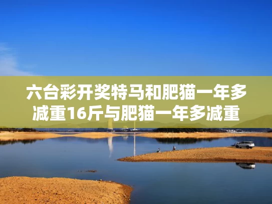 2025全年免费资料大全和范志毅吐槽国足：球怎么能传成这样与直播:范志毅谈国足