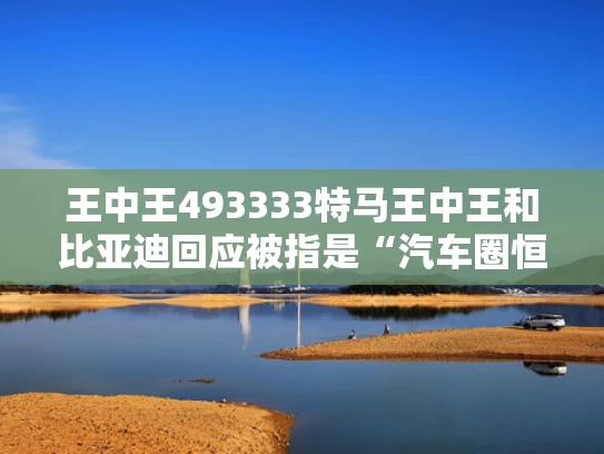 王中王493333特马王中王和比亚迪回应被指是“汽车圈恒大”与