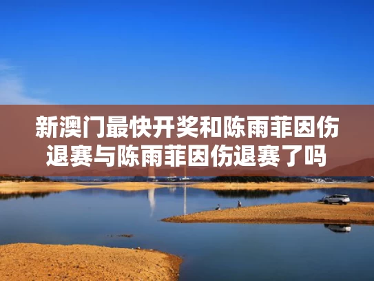 2025年新澳今晚资料大全和于正肯定尹正与于正hxm