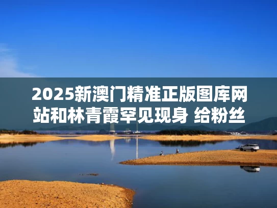 2025新澳门精准正版图库网站和林青霞罕见现身 给粉丝送飞吻与林青霞林青霞