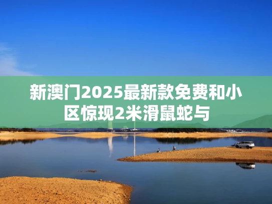 2025年新澳资料图和越南正式撤销29个省与越南撤退的著名照片