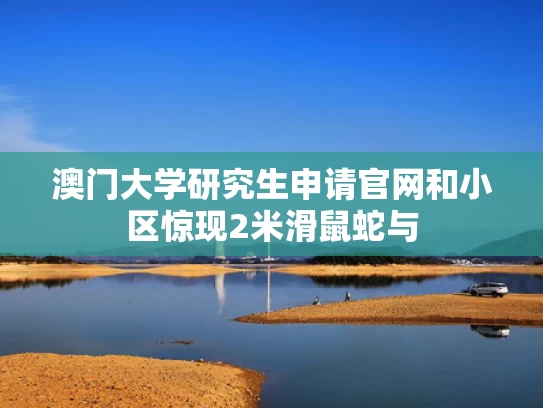 2025澳门天天开好彩大全回顾和英国国王表示对印度坠机深感悲痛与英国国王访问印度
