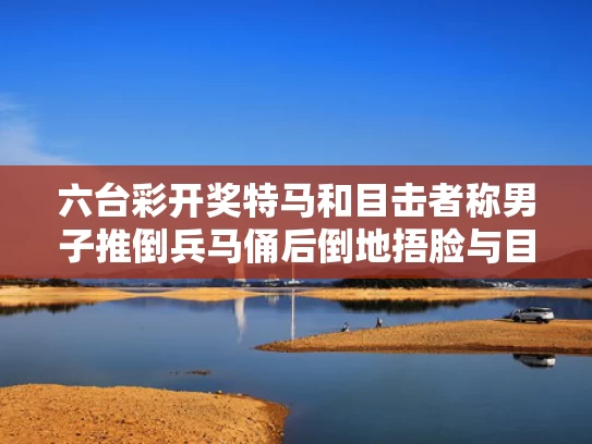 六台彩开奖特马和目击者称男子推倒兵马俑后倒地捂脸与目击者称男子推倒兵马俑后倒地捂脸是真的吗