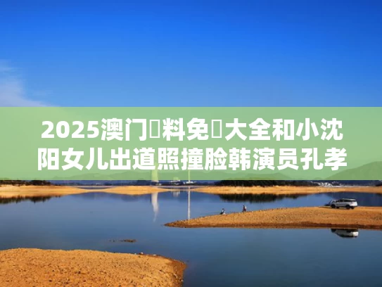 2025澳门資料免費大全和小沈阳女儿出道照撞脸韩演员孔孝真与小沈阳女儿长相