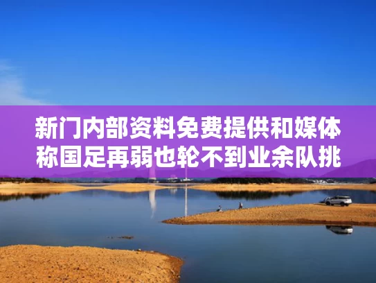 新门内部资料免费提供和媒体称国足再弱也轮不到业余队挑战与国足 lv