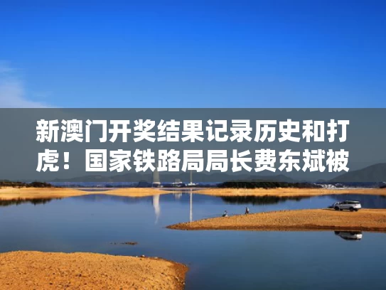 新澳门开奖结果记录历史和打虎！国家铁路局局长费东斌被查与