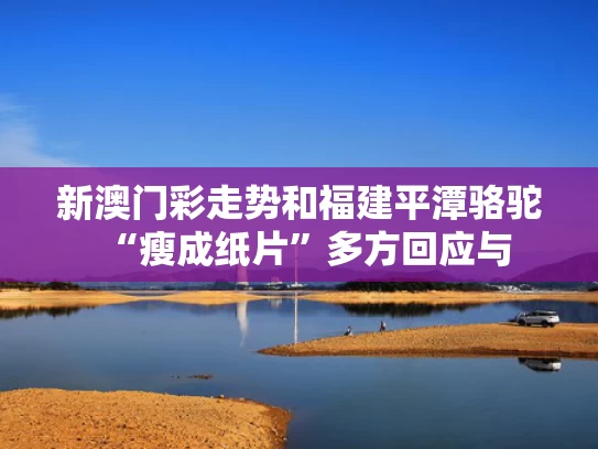 新澳门彩走势和福建平潭骆驼“瘦成纸片”多方回应与