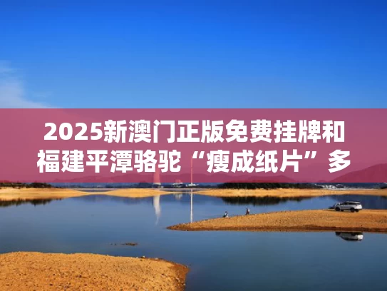 2025新澳门正版免费挂牌和福建平潭骆驼“瘦成纸片”多方回应与
