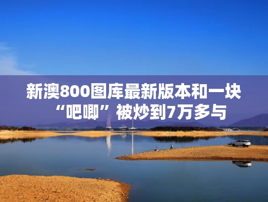 新澳800图库最新版本和一块“吧唧”被炒到7万多与