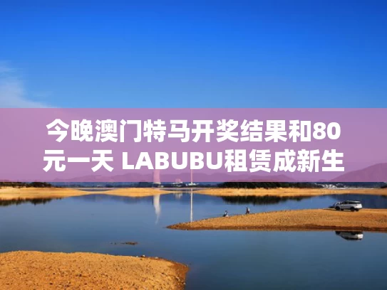 今晚澳门特马开奖结果和80元一天 LABUBU租赁成新生意与租一家店大概多少钱
