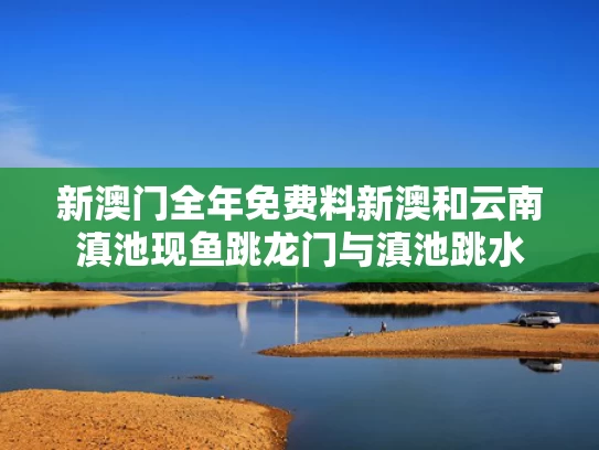 2025新澳门全年免费大全和婆婆全职带孙子被车撞伤获赔误工费与婆婆带孩子出意外要赔偿吗