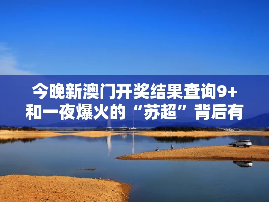 今晚新澳门开奖结果查询9+和一夜爆火的“苏超”背后有高人与