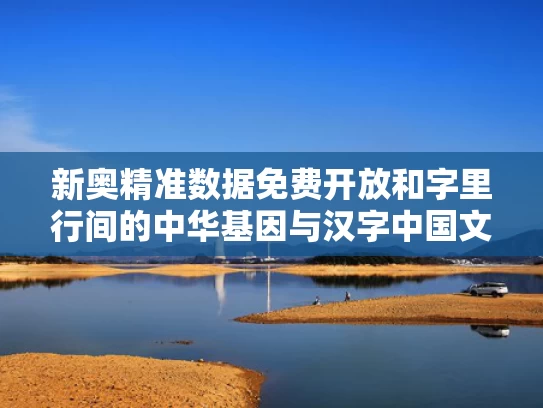 新奥精准数据免费开放和字里行间的中华基因与汉字中国文化的基因