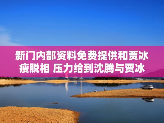 新门内部资料免费提供和贾冰瘦脱相 压力给到沈腾与贾冰贾冰