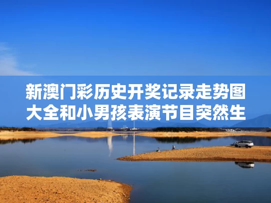 新澳门彩历史开奖记录走势图大全和小男孩表演节目突然生气“罢工”与