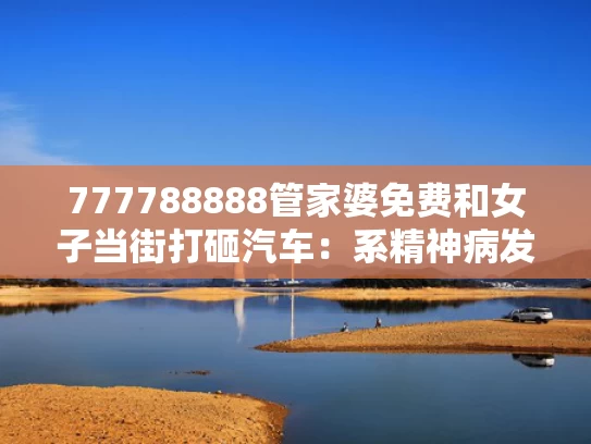 777788888管家婆免费和女子当街打砸汽车：系精神病发作与女子砸车后续