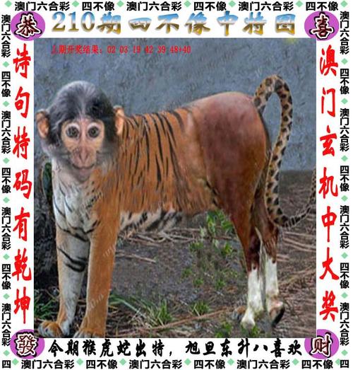 新澳门彩历史开奖记录走势图和学生贩毒3年捞钱7亿与